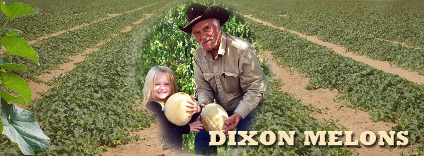 Dixon Melons