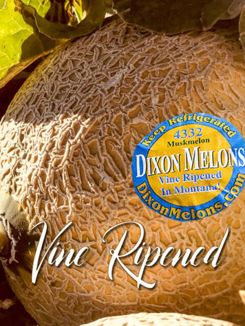 Vine Ripened Dixon Melons